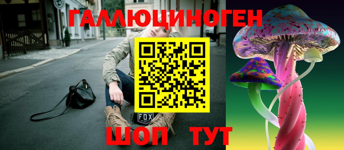 Галлюциногенные грибы MAGIC MUSHROOMS  Вход с VPN  купить  сайты  Краснодар 